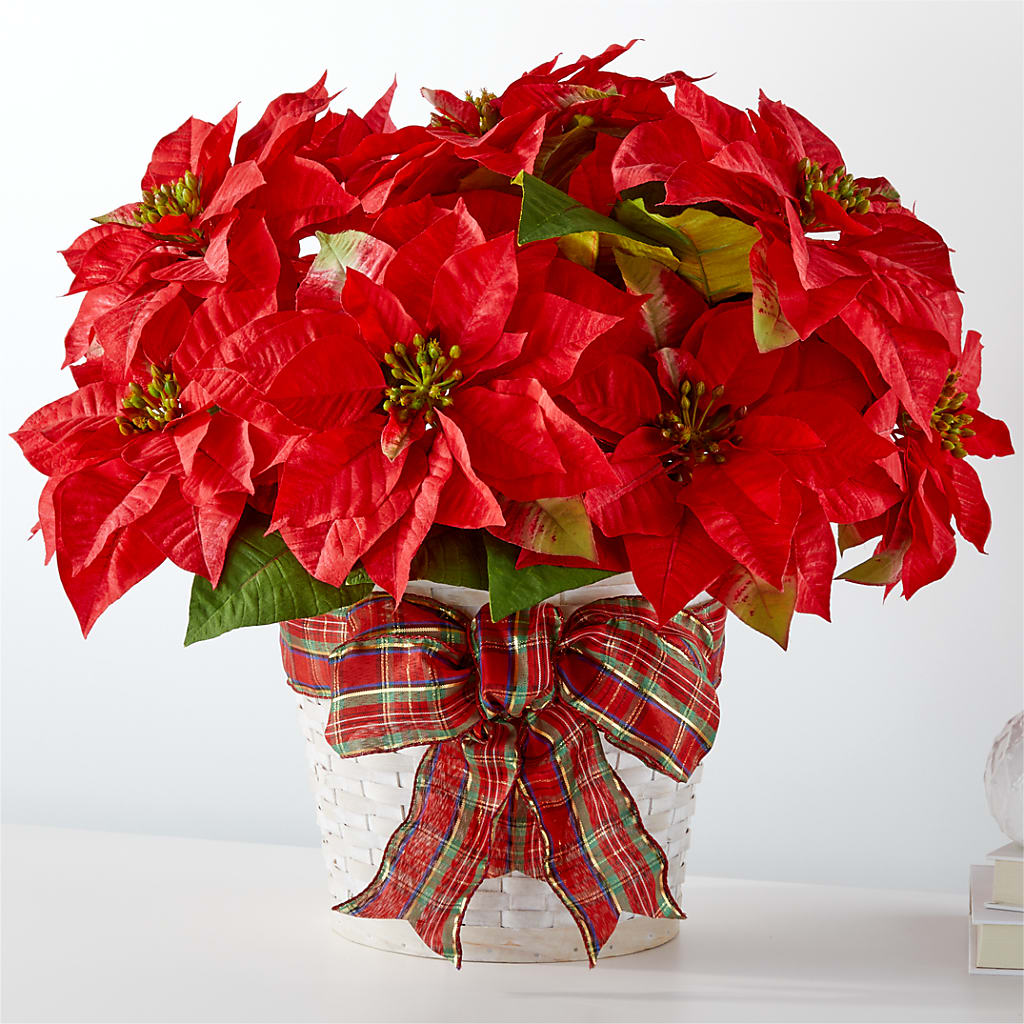 Happiest Holidays Poinsettia – Mc Gardens, Las Vegas NV