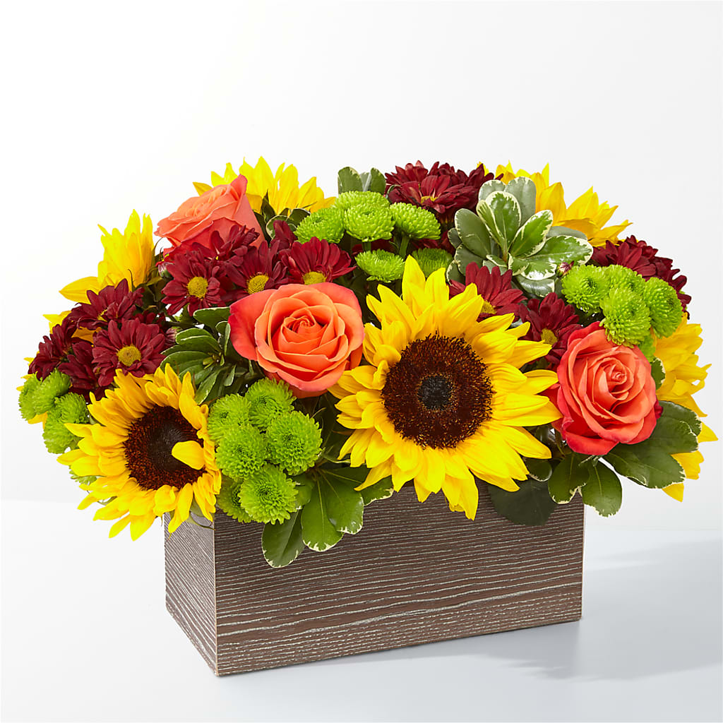 Happy Harvest Garden – Mc Gardens, Las Vegas NV