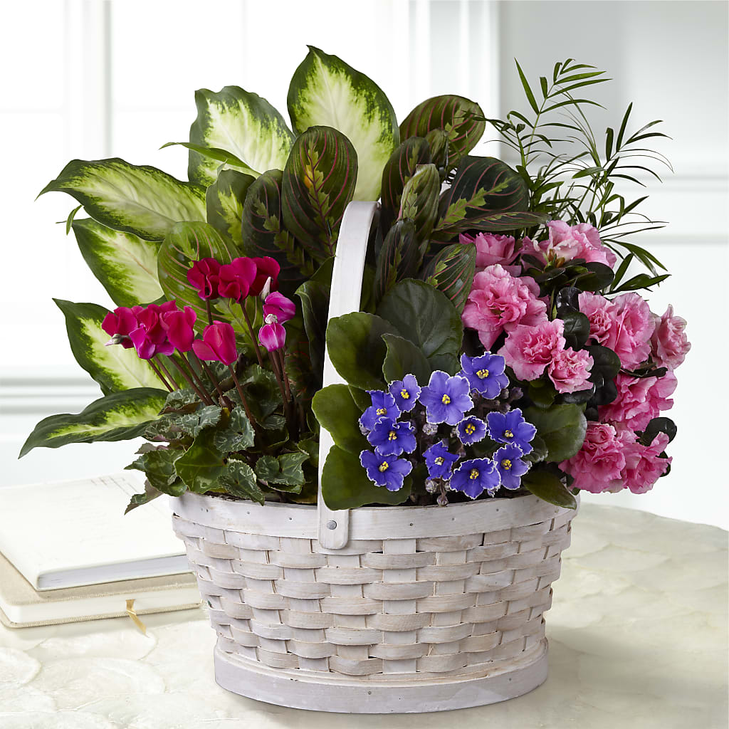 Peaceful Garden Planter – Mc Gardens, Las Vegas NV