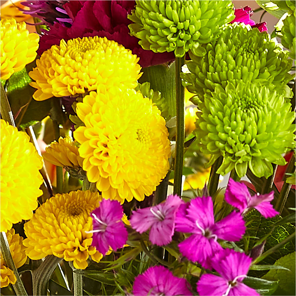 Bold & Bright – A Florist Original –  Mc Gardens, Las Vegas NV