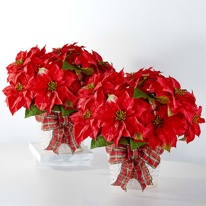 Happiest Holidays Poinsettia Bundle –  Mc Gardens, Las Vegas NV