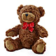 Adorable Plush Bear –  Mc Gardens, Las Vegas NV