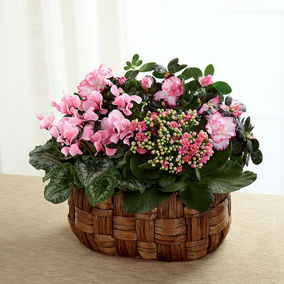 Pink Assortment –  Mc Gardens, Las Vegas NV