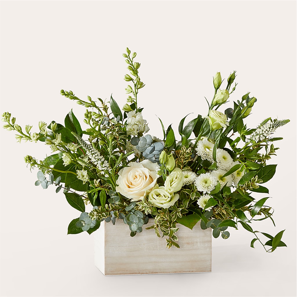 Cashmere Bouquet –  Mc Gardens, Las Vegas NV