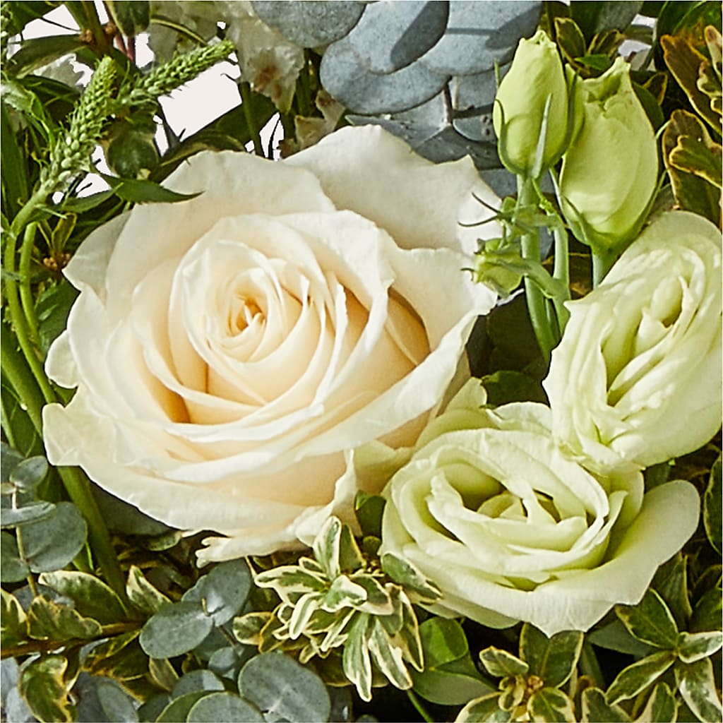 Cashmere Bouquet –  Mc Gardens, Las Vegas NV