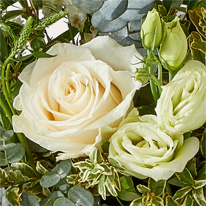 Cashmere Bouquet –  Mc Gardens, Las Vegas NV