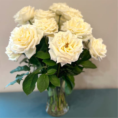 Long Stem Yellow Rose Bouquet –  Mc Gardens, Las Vegas NV
