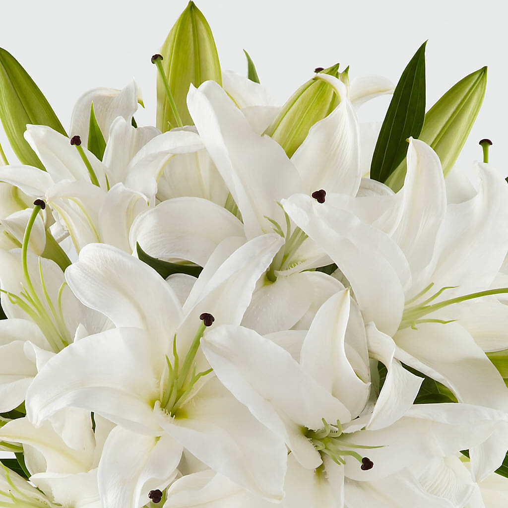 Faithful Blessings Bouquet –  Mc Gardens, Las Vegas NV