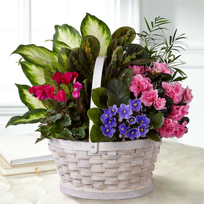 Peaceful Garden Planter –  Mc Gardens, Las Vegas NV