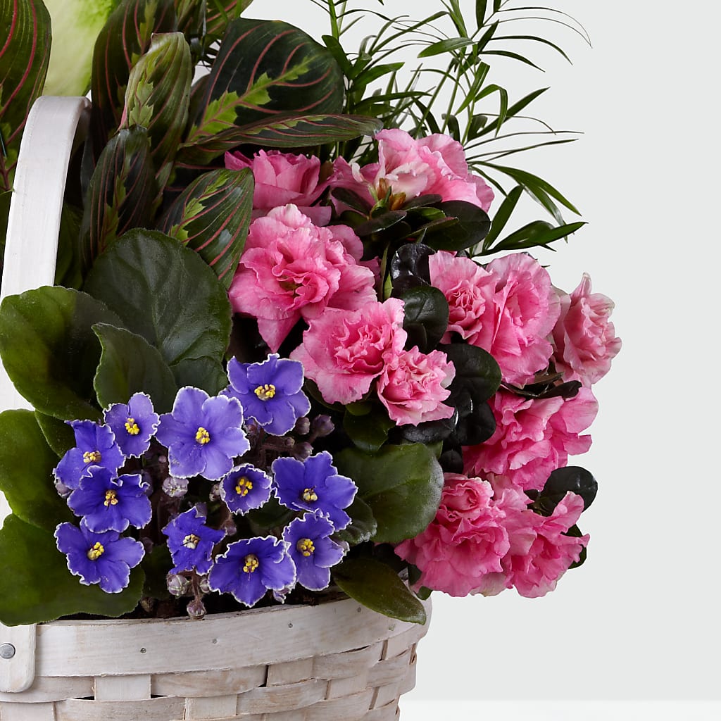 Peaceful Garden Planter –  Mc Gardens, Las Vegas NV