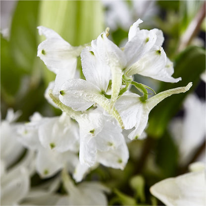 Classic Ivory – A Florist Original –  Mc Gardens, Las Vegas NV