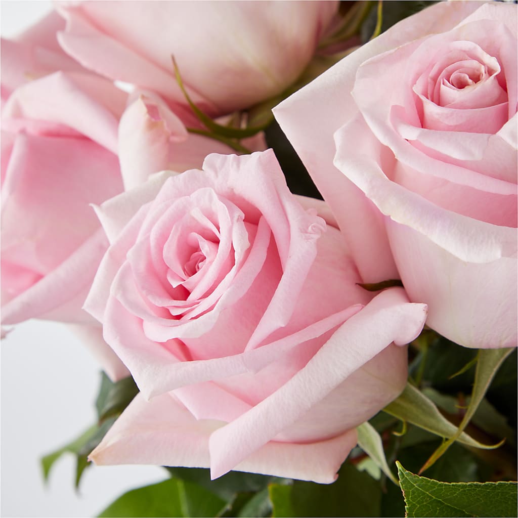 Picture Perfect Pink Rose Bouquet –  Mc Gardens, Las Vegas NV