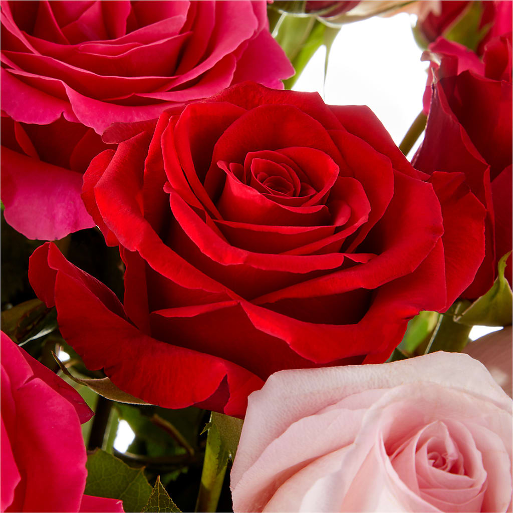 Love Notes Rose Bouquet –  Mc Gardens, Las Vegas NV