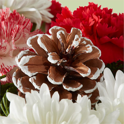 Candy Cane Lane Bouquet –  Mc Gardens, Las Vegas NV