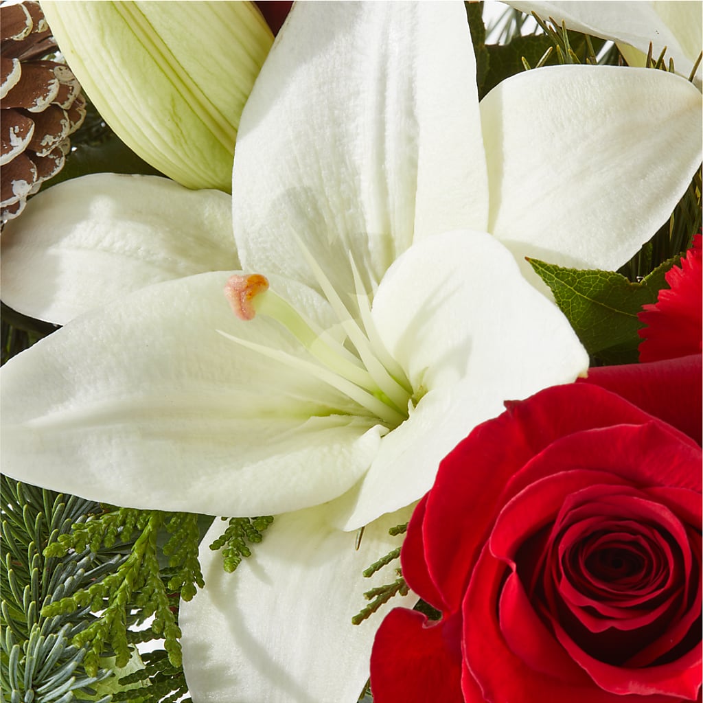 Oh So Jolly Bouquet –  Mc Gardens, Las Vegas NV