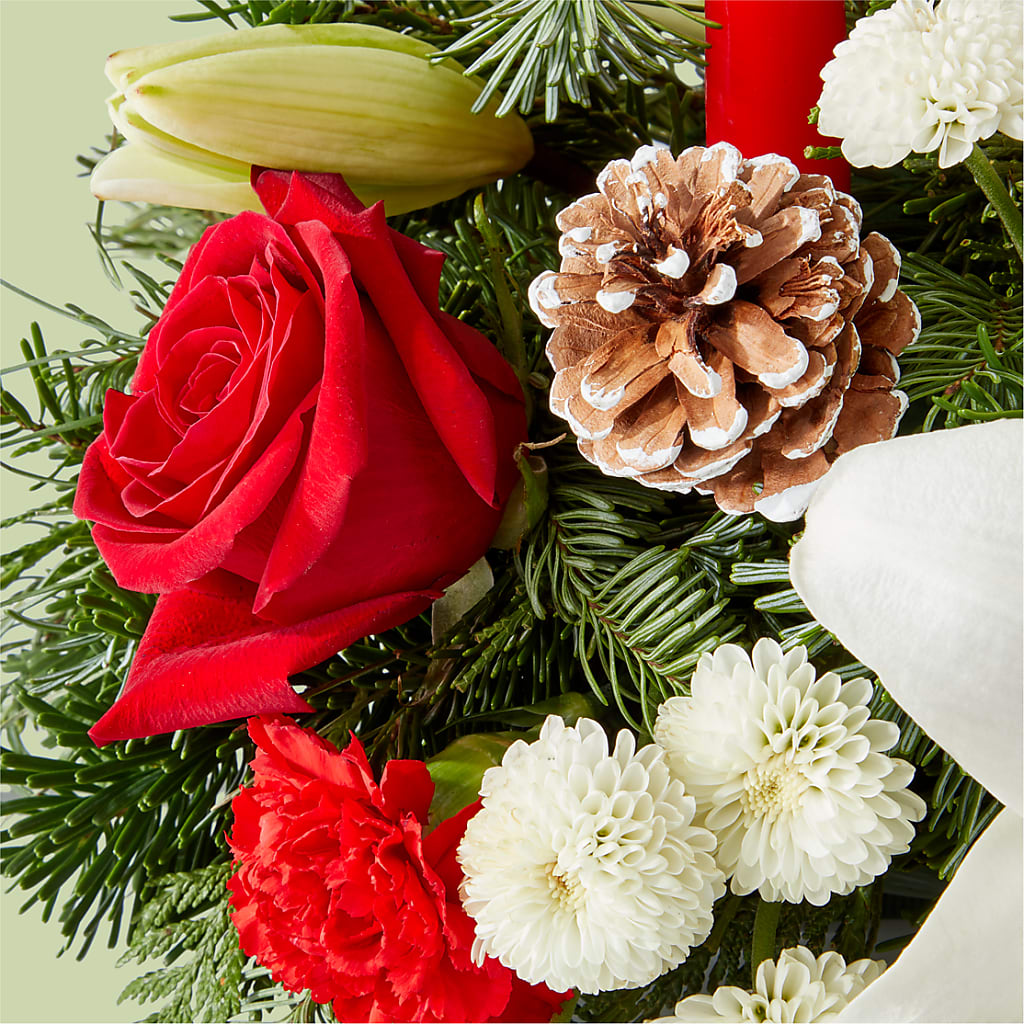 Seasonal Festivities Centerpiece –  Mc Gardens, Las Vegas NV