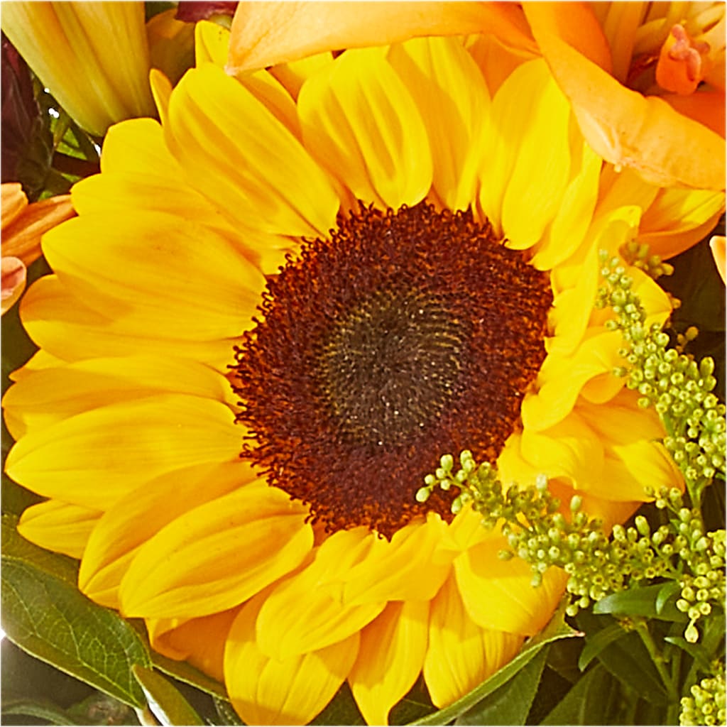 Seasons Change Bouquet –  Mc Gardens, Las Vegas NV