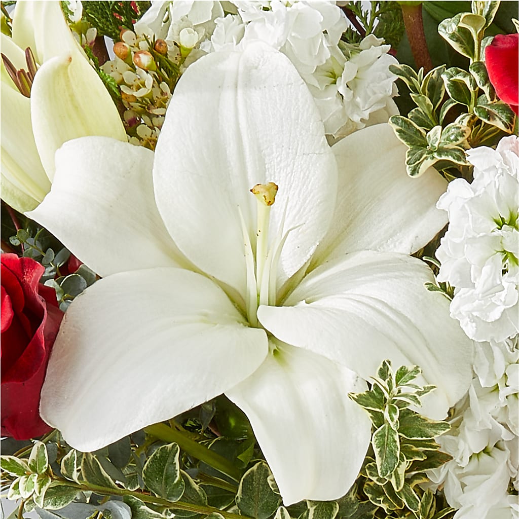 Twinkle Lights Bouquet –  Mc Gardens, Las Vegas NV