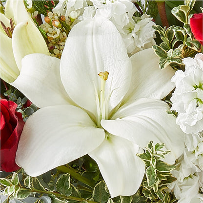 Twinkle Lights Bouquet –  Mc Gardens, Las Vegas NV