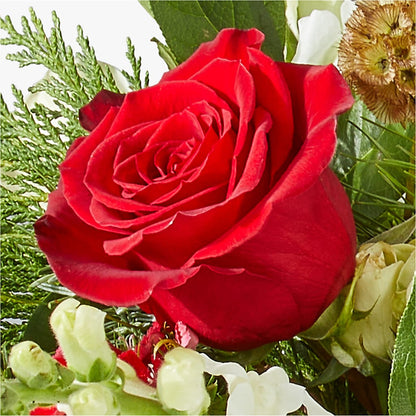 Deck the Halls Bouquet –  Mc Gardens, Las Vegas NV