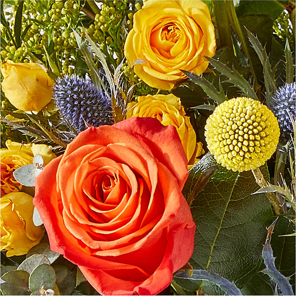Disco Bouquet –  Mc Gardens, Las Vegas NV