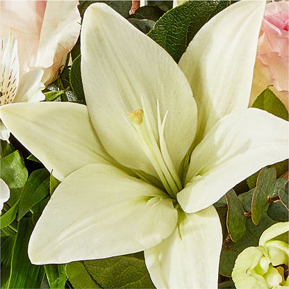 Ballet Slippers Bouquet –  Mc Gardens, Las Vegas NV