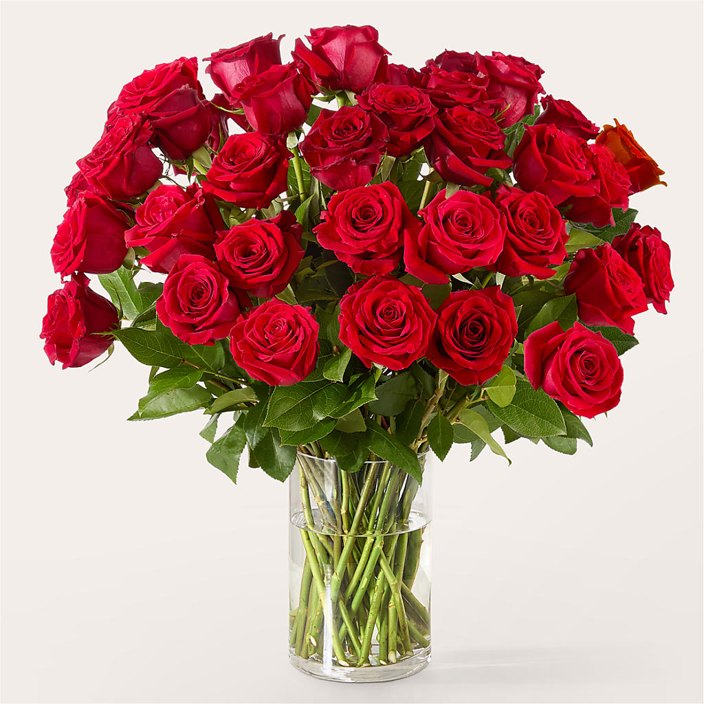 The One Red Rose Bouquet –  Mc Gardens, Las Vegas NV
