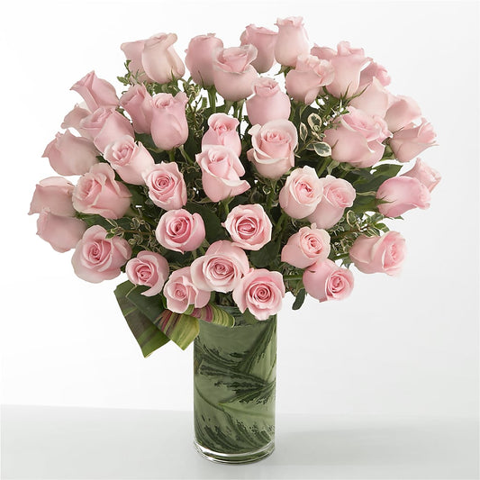 Pink Essence –  Mc Gardens, Las Vegas NV